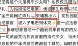 柬埔寨爆料人员名单最新,揭秘背后真相与争议